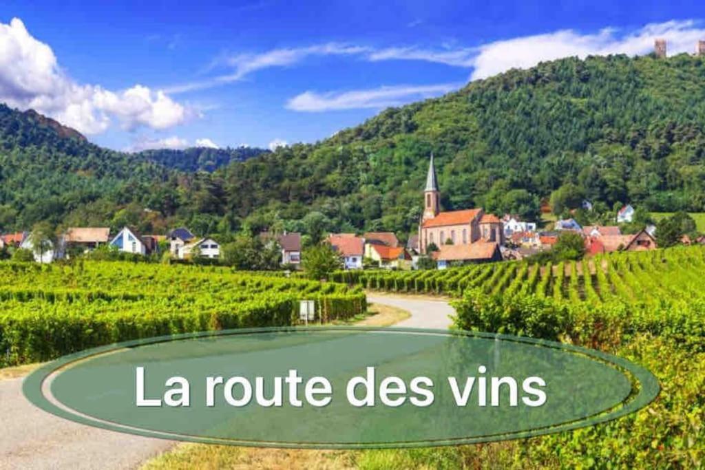 Gite Classe 4 Etoiles  La Maison Du Tonnelier Oberbronn Eksteriør bilde