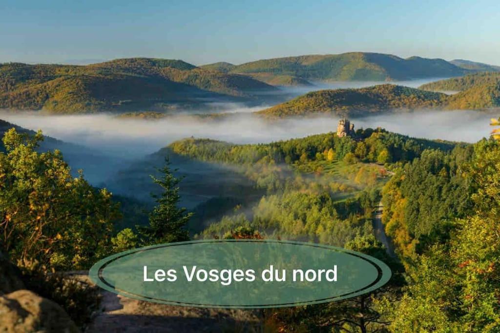Gite Classe 4 Etoiles  La Maison Du Tonnelier Oberbronn Eksteriør bilde
