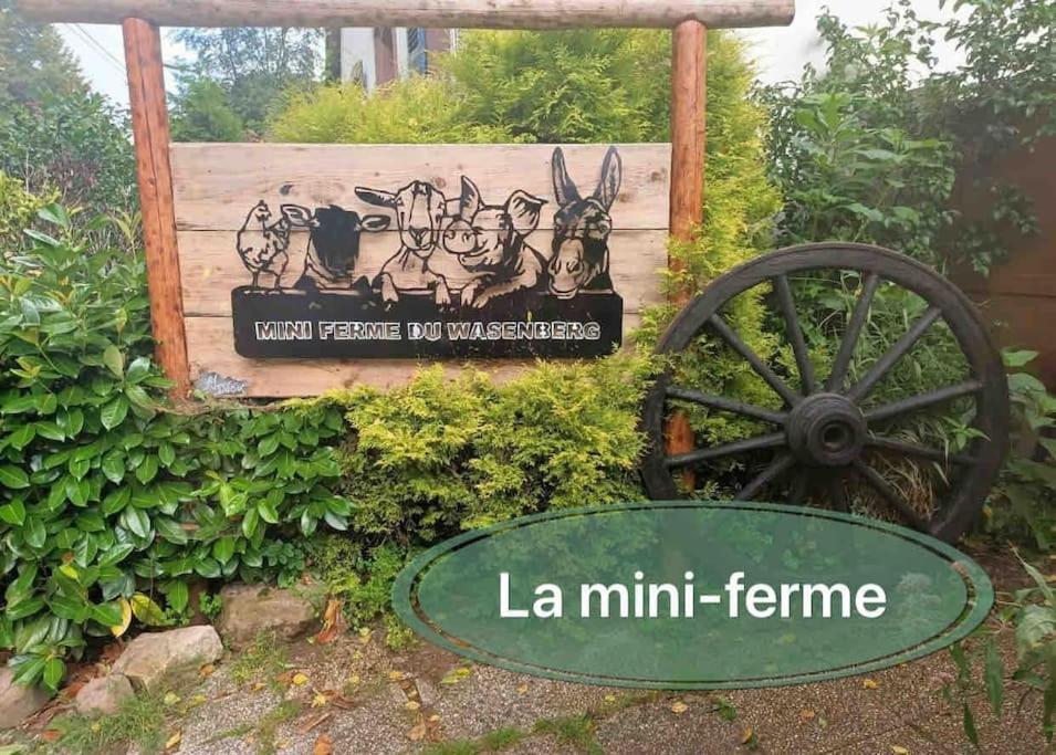 Gite Classe 4 Etoiles  La Maison Du Tonnelier Oberbronn Eksteriør bilde